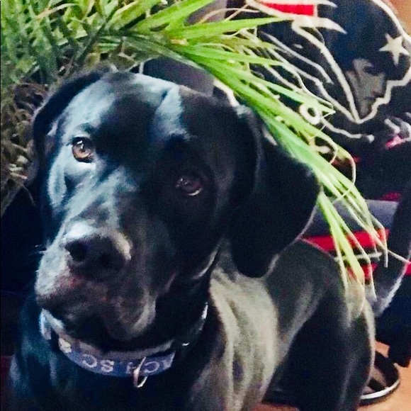 NOT FOR SALE - Picture 6 of 10